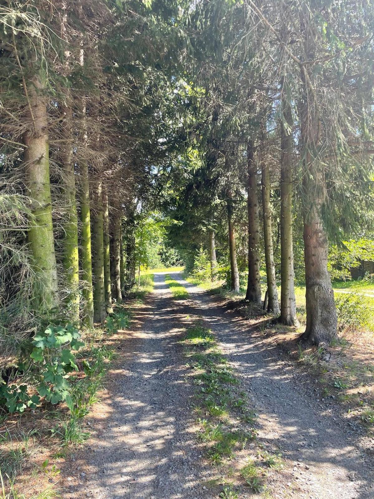 Lunatykowa Chata Giebultow  Exteriér fotografie
